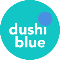 About Dushi Blue Webdevelopment Bonaire